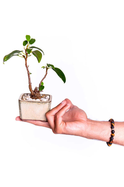 Load image into Gallery viewer, Tiger Stripes Bracelet - Models and Surf
 Load image into Gallery viewer, Tiger Stripes Bracelet - Models and Surf