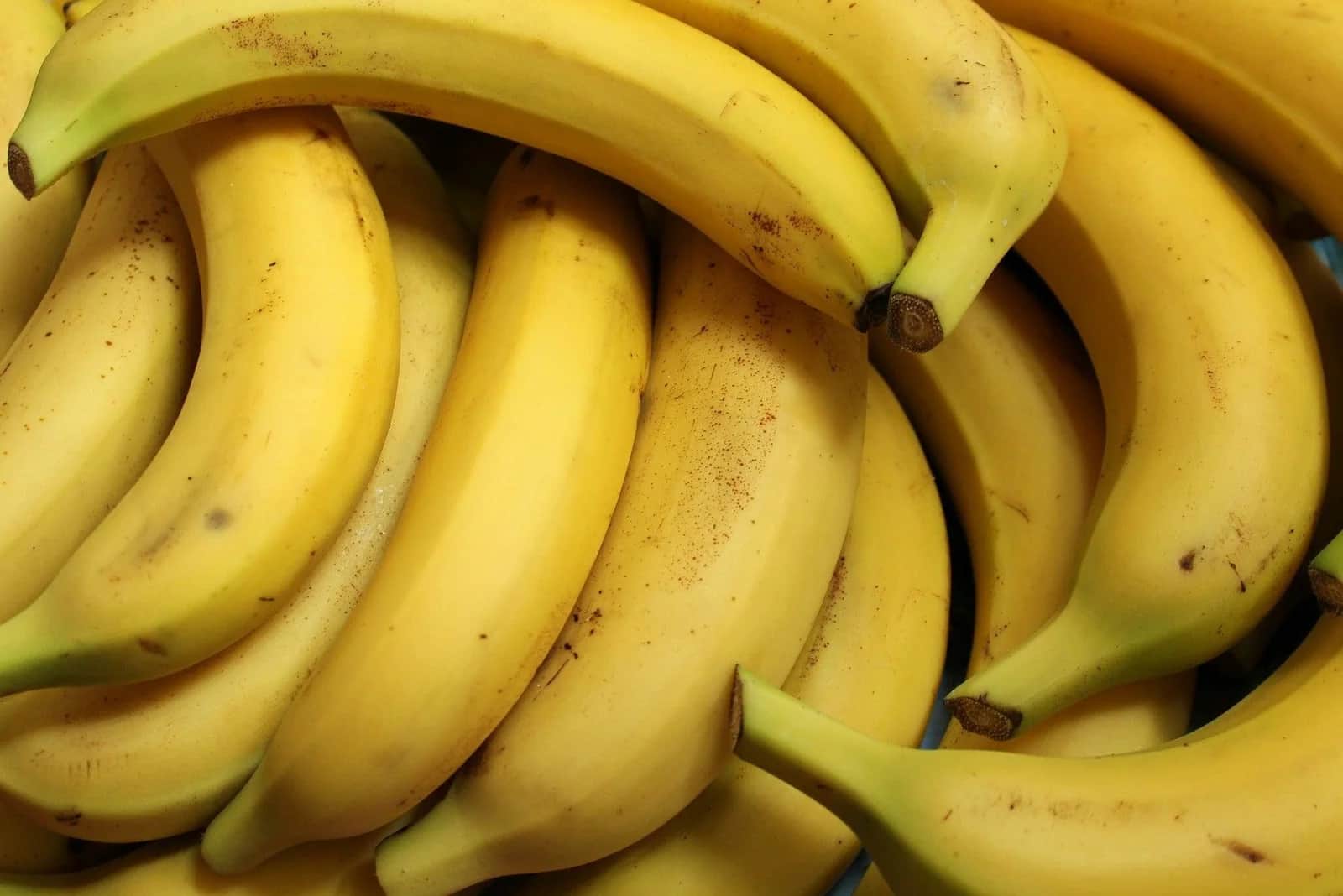 Surf Nutrition - What to eat before surfing?