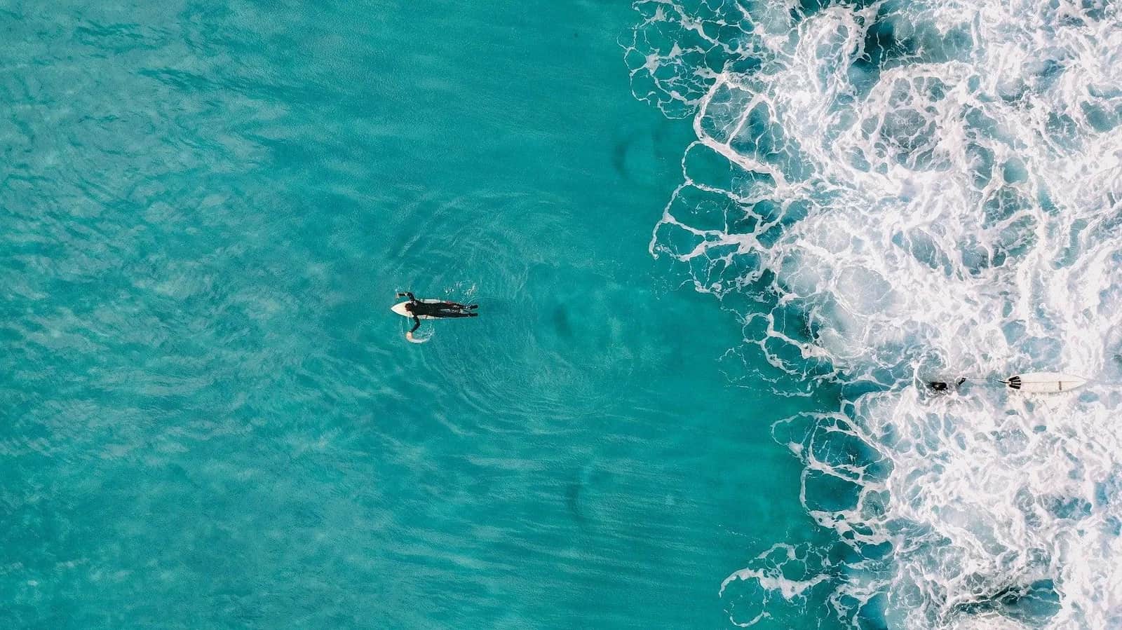 Learn How To Catch A Wave Like a Legend!